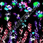 Colour:F