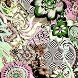 Colour:B