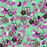 Colour:B