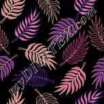 Colour:F