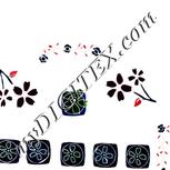 Colour:F