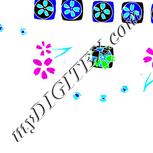 Colour:F