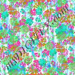 Colour:B