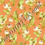 Colour:K