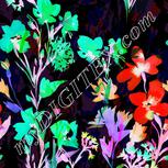 Colour:F