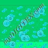 Colour:D