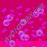 Colour:K