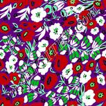 Colour:C