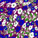 Colour:D
