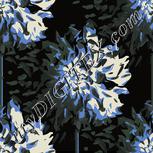 Colour:F