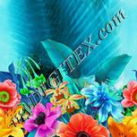 Colour:A