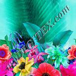 Colour:B