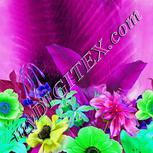 Colour:C