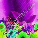 Colour:D