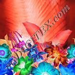 Colour:F