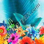 Colour:J