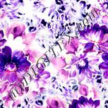 Colour:D