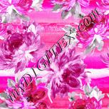 Colour:B