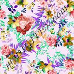 Colour:B
