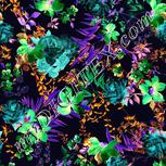 Colour:F
