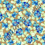 Colour:K