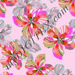 Colour:B