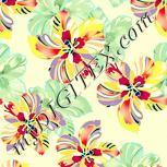 Colour:K
