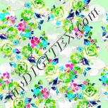 Colour:C