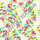 Colour:K