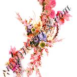 Colour:J