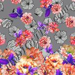 Colour:B