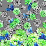 Colour:C