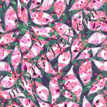 Colour:F