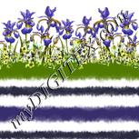 Colour:A