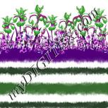 Colour:B