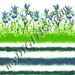 Colour:K