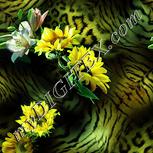 Colour:K