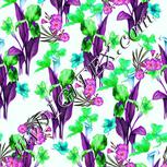 Colour:C