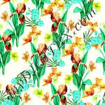 Colour:K