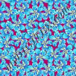 Colour:F