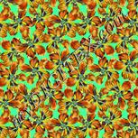 Colour:K
