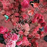 Colour:J