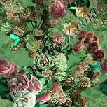 Colour:K
