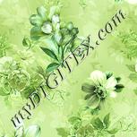 Colour:K
