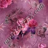 Colour:B