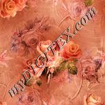 Colour:J