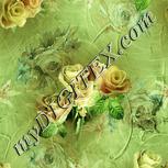 Colour:K