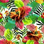 Colour:K