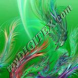 Colour:B