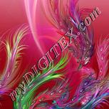 Colour:C